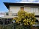 Anche quest'anno vedremo fiorire le mimose nella seconda metà di febbraio? (foto P. Valisa - CGP)