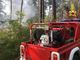 In fiamme il Parco Pineta, vigili del fuoco di Tradate e Saronno in azione