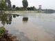 Lago di Varese inquinato dalle alghe: rinnovata la non balneabilità