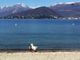 Sicurezza laghi: da Varese a Comabbio e Ghirla, da Monate al Maggiore e al Ceresio, la Regione stanzia 72mila euro per i nostri bacini