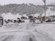 La magia del risveglio a Livigno (foto tratta dal video della pagina Facebook &quot;Livigno is magic&quot;)