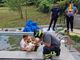 VIDEO E FOTO. Mucca scivola nella piscina di un'abitazione a Porto Valtravaglia. Salvata dai vigili del fuoco