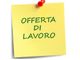Colloqui di lavoro forvianti nel centro città, brutta sorpresa per decine di varesini