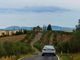 Organizzare una vacanza nella Maremma Toscana, alcuni consigli