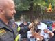 Gatto intrappolato nel vano motore di un'auto davanti a scuola: salvato dai vigili del fuoco