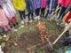 Quattro faggi alla scuola Settembrini per celebrare la Festa dell'Albero