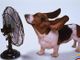 «Tra oggi e domani l'apice dell'ondata di calore con afa prima dei temporali. E nel weekend...»