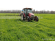 BioDea una soluzione concreta per la coltivazione del grano