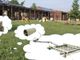 Un giardino più bello per i bambini: l'asilo di Gorla Minore lancia una raccolta fondi online