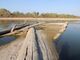 Una recente immagine del fiume Po scattata dal fotoreporter naturalista Paolo Panni nel tratto medio del Po tra le provincie di Cremona e Parma