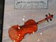 Il violino della Shoah suona anche al Numm di Gorla Maggiore