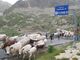 La festa della transumanza in alta Valle Stura (FOTO E VIDEO)
