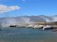 VIDEO e FOTO. Le folate di vento sferzano il lago Maggiore, albero sradicato ad Angera