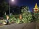 L'albero di 20 metri crollato a Milano per il maltempo