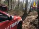 VIDEO. Marchirolo, bosco in fiamme in via Pietro Bozzolo, presidio dei vigili del fuoco per tutta la notte