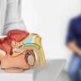 Cancro prostata avanzato, Ue approva terza indicazione per darolutamide