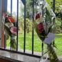 I fiori posti per nei pressi dell'abitazione di Teresa Stabile dopo l'omicidio