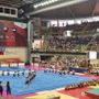 La maestosa festa della Pro Patria Ginnastica rovinata dall'afa dell'E-Work Arena