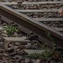 Investito dal treno lungo la Saronno-Milano, muore ragazzo di 19 anni
