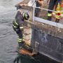 Capriolo nel canale: salvato dai vigili del fuoco