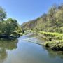Camminare al caldo, ci aiuta il fiume Olona