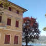 «Golden Waters», arte e moda tra Lago Maggiore, Milano e Sanremo: il viaggio parte da Luino