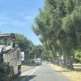 Al via i lavori di asfaltatura in viale Gabardi