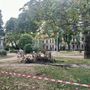 Ramo caduto nel parco di via Foscolo,  ordine di rimuovere la pianta malata
