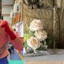 Gorla Minore, l’appello della famiglia di Rocco La Cognata: «Cerchiamo testimoni, anche un dettaglio può fare la differenza»