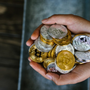 Criptovalute: 5 Miti da Sfatare Prima del Tuo Primo Acquisto