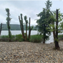 La spiaggia abusiva sul lago di Comabbio