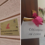 Eva Odv, nuova casa in via Matteotti per il centro antiviolenza: «Un’eccellenza»