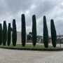 Il cimitero di Busto: il forno nuovo sorgerà nell'area Nord-Ovest Il cimitero di Busto: il forno nuovo sorgerà nell'area Nord-Ovest