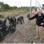 Scienze: addio a Jane Goodall, la donna che parlava con gli scimpanzé