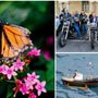 Fiori, motori, foto e tante chance di stare insieme: un weekend che scoppia di eventi nel Bustese
