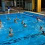 Busto Pallanuoto in azione - Immagine di repertorio Busto Pallanuoto in azione - Immagine di repertorio