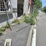 Palazzo di vicolo Landriani: oggi è proprietà privata e videosorvegliata, ma qualcuno la vuole forzare