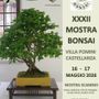 Il Giappone in miniatura torna a Villa Pomini