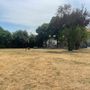 Busto, parco Fratelli di Dio tirato a lucido. Ora si pensa all’area cani Busto, parco Fratelli di Dio tirato a lucido. Ora si pensa all’area cani