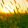 GLI APPUNTAMENTI. Il weekend si sveglia al tramonto nel Bustese GLI APPUNTAMENTI. Il weekend si sveglia al tramonto nel Bustese