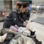 I controlli della Gdf di Varese a Malpensa I controlli della Gdf di Varese a Malpensa