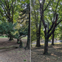 Parco Rimembranze Parco Rimembranze