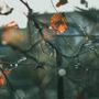 Primo assaggio d'autunno