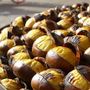 Al Parco Alto Milanese un weekend tra funghi, castagne e solidarietà Al Parco Alto Milanese un weekend tra funghi, castagne e solidarietà