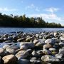 L'appello del Parco: «Non fare il bagno nel Ticino, il divieto serve a salvarti la vita» L'appello del Parco: «Non fare il bagno nel Ticino, il divieto serve a salvarti la vita»