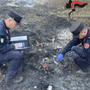 Incendi nei boschi di Ispra e Induno Olona: individuati i presunti responsabili