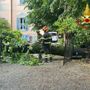 Alberi caduti tra Varese e Malnate a causa del violento temporale notturno