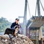 È morto Night Spirit, il cane poliziotto eroe del ponte Morandi