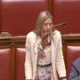Forze dell'ordine: Gadda, non scaricare su agenti responsabilità governo