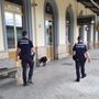 “Zorro” in azione a Luino: l’unità cinofila della Polizia Locale di Gallarate al mercato e in stazione